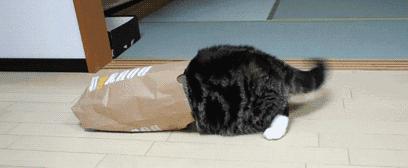 天气暖了身上冷怎么回事,天气很暖为啥总感觉冷