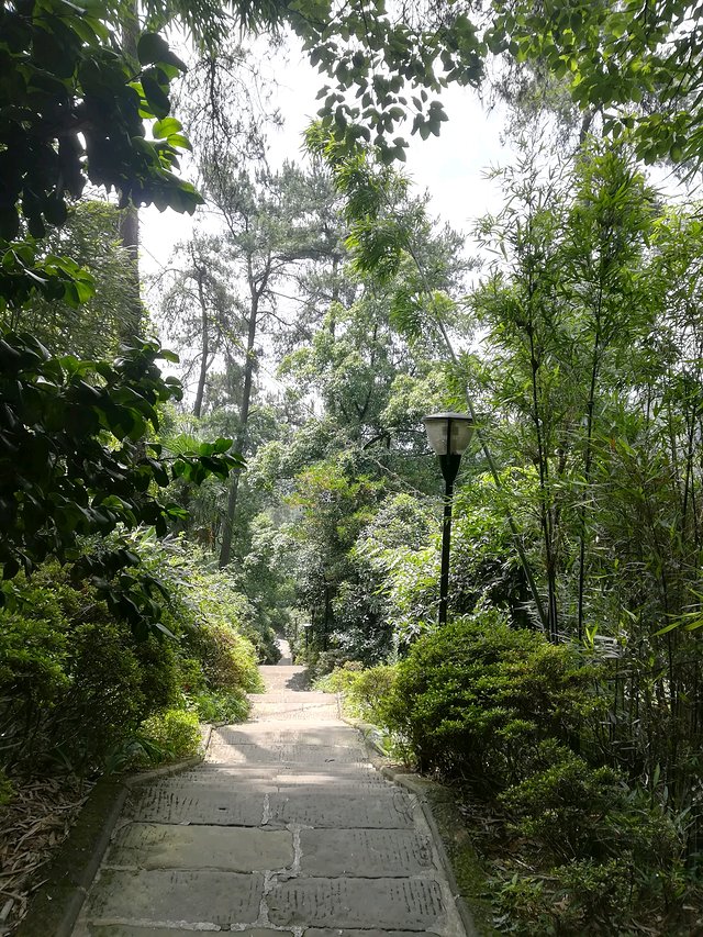 长江三峡重庆游七天六晚,重庆慢节奏旅游攻略