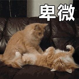 好物分享家里常备的按摩仪,家用脸部按摩仪好物