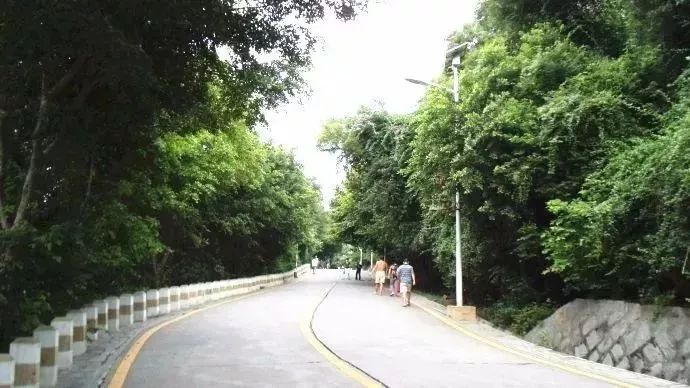 厦门最美环海步行栈道,厦门必去的十大跑道