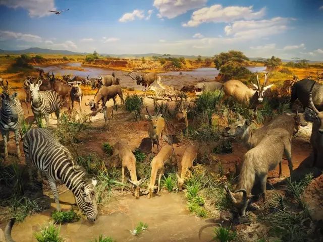 2019重庆优惠活动,重庆最新全图