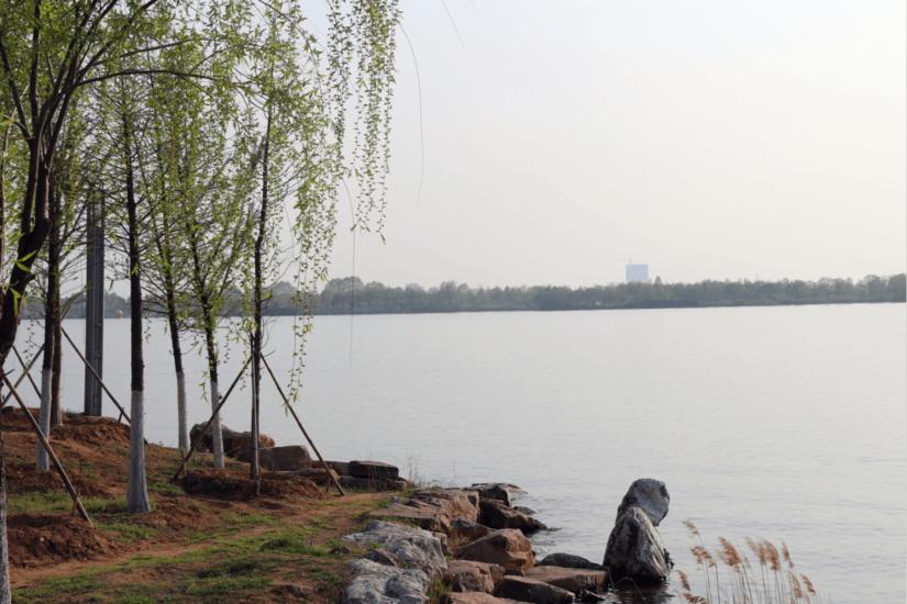 火枫百味烤盘哪个颜色好,无涂层不粘煎烤炒煮多用盘