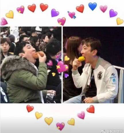 王思聪你不要逼我表情,王思聪你不是我的菜语录