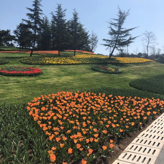 最值得去看的花海,最美花海邀您来赏