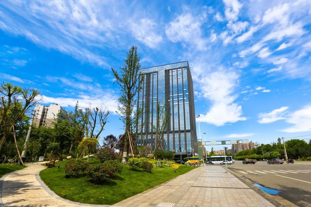 节日快乐！青白江80后90后00后，童年差别竟然这么大！