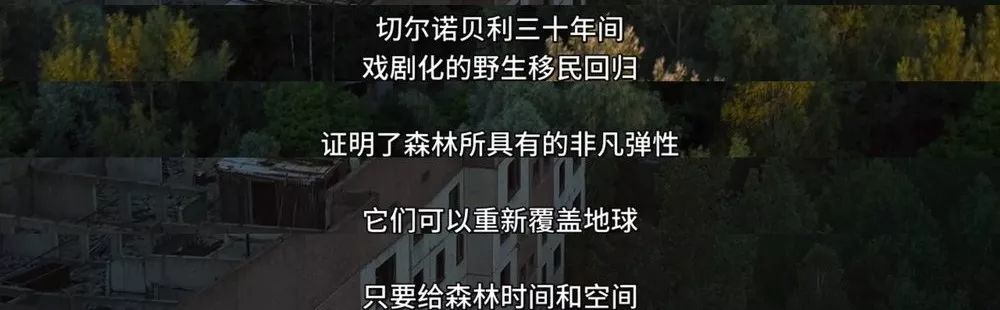 bbc经典必看十大纪录片,bbc十大经典纪录片9.9