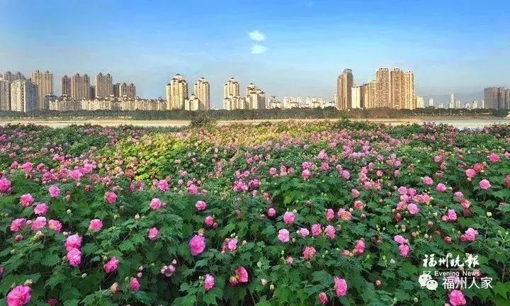 福州地铁4号线沿途美景美食,福州地铁4号线美食打卡