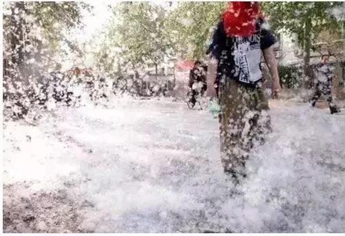 为了替你出气，我们给讨厌的杨柳絮来个“以暴制暴”