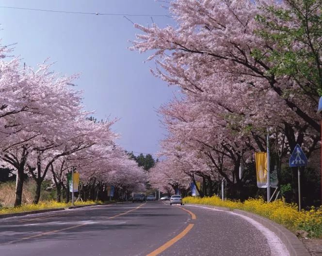 一夜火遍ins的小夫妻,竟然带火了世界新七大自然奇迹