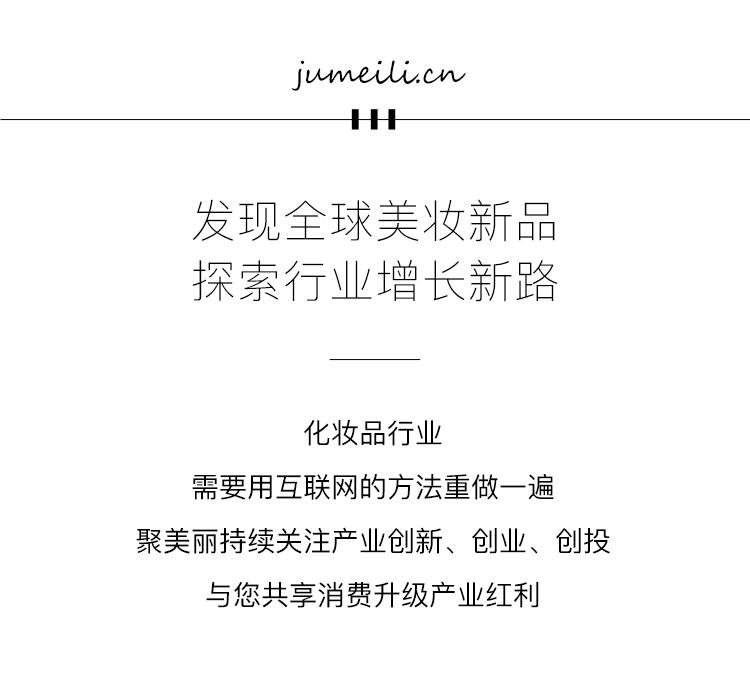 丝塔芙母公司,丝塔芙公司简史