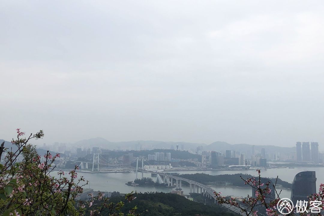 厦门美食探店海沧,厦门海沧特色美食探店
