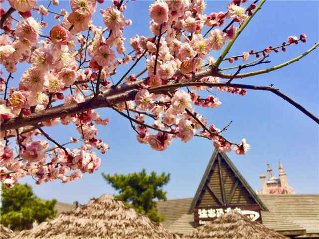 青岛人福利来了！4月21日到25日到全省这些*级A**景区旅游免费