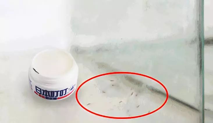 日本蚊虫叮咬止痒膏红皮,日本蚊子止痒的药膏