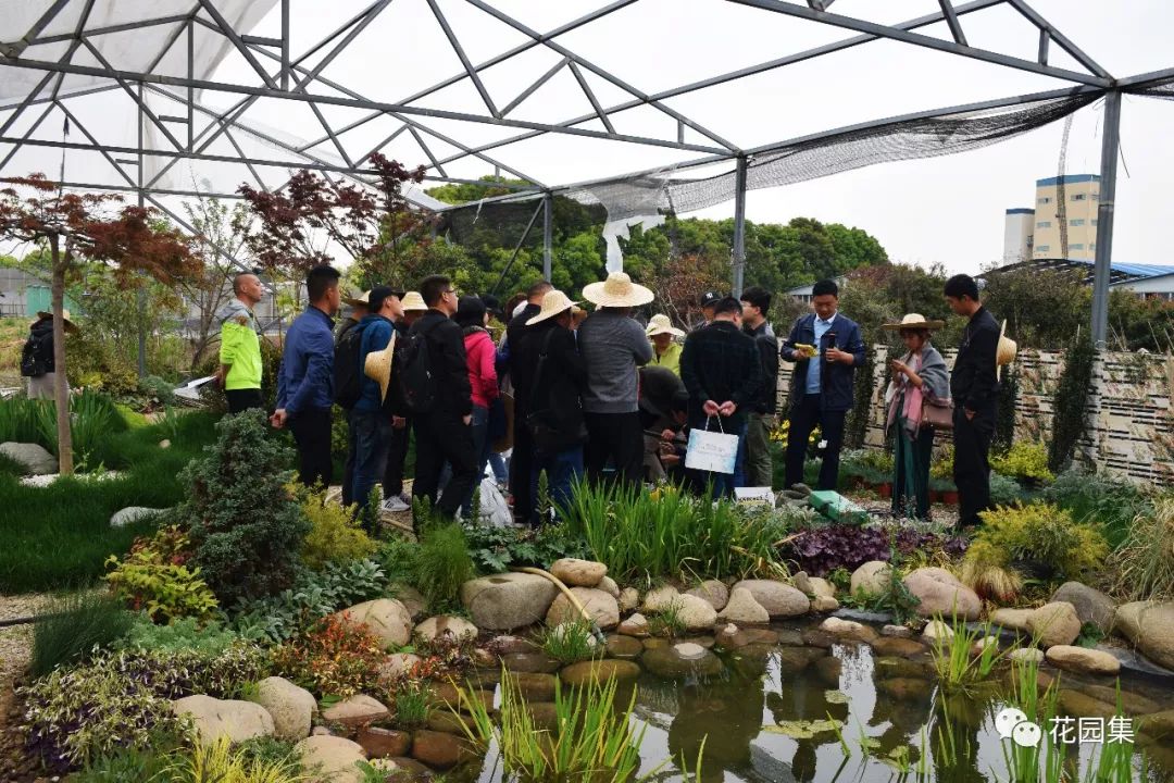 庭院自动喷灌效果图,地埋式喷灌庭院