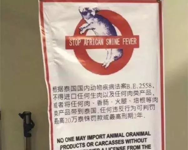 真正来一次说走就走的旅行,假期一定要来一次说走就走的旅行