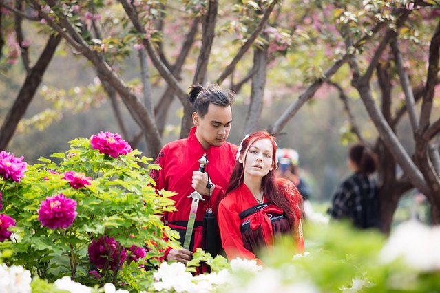 璞鍙ら兘涔嬬編,璞娌冲崡鍙戠幇涓嶄竴鏍风殑涓師涔嬬編