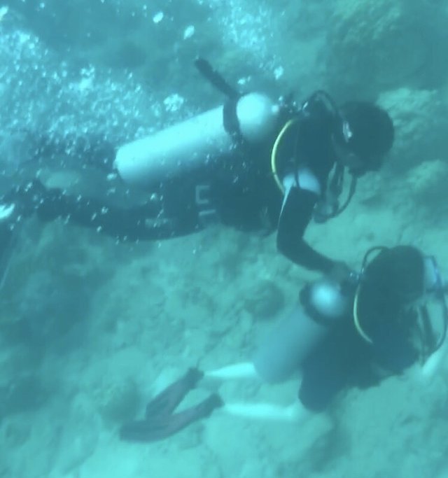 越南越美,越南越美一生必去一次