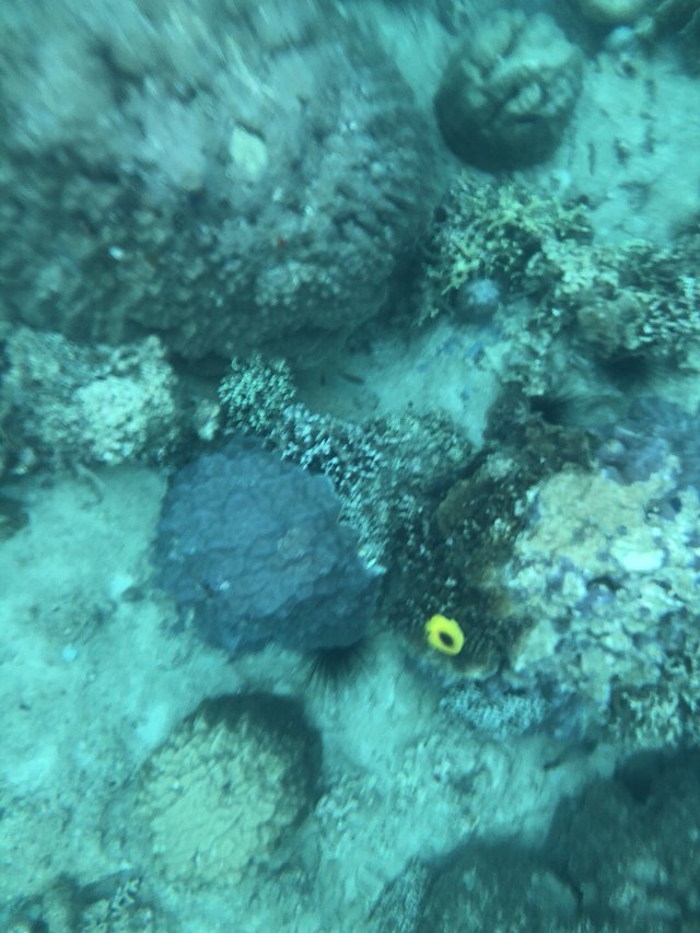 越南越美自由行攻略,去越南最好的攻略