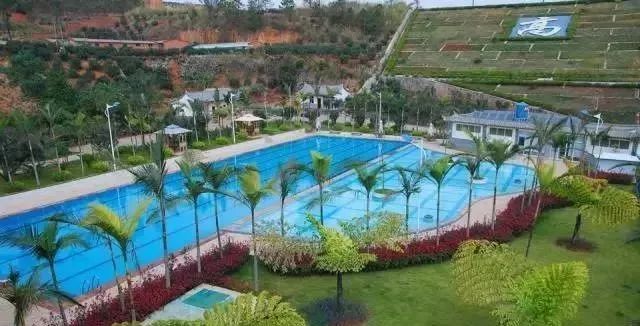 石屏杨梅樱桃采摘方法,石屏杨梅上市了欢迎大家来品尝