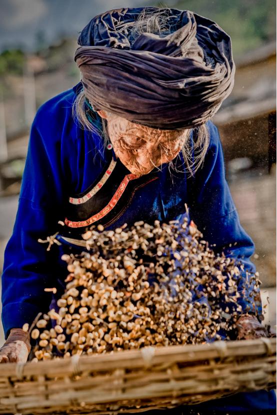 拼多多多多果园的商业模式,拼多多重塑中国农业产业链