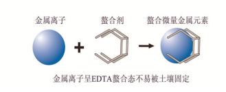 金香玉玉米肥,金香玉复合肥玉米专用肥亩用量