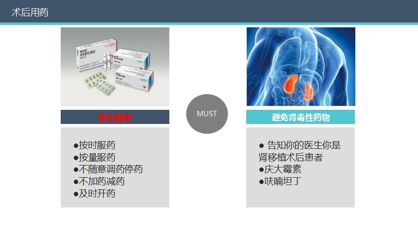 科普肾脏,医学科普出汗和肾脏关系