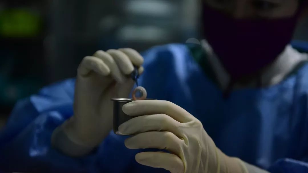 欢迎斯里兰卡,尊重斯里兰卡