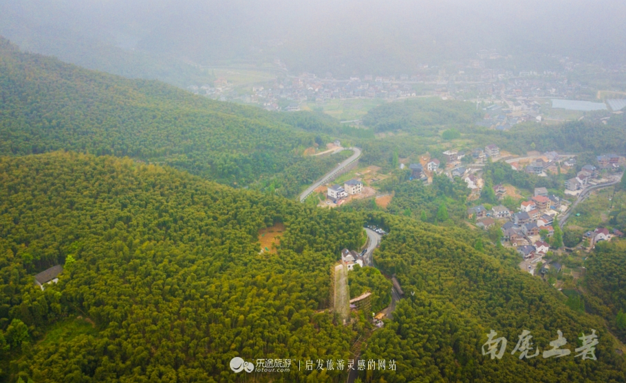 茶话会的形式是什么,中国茶道和日本茶道有什么联系