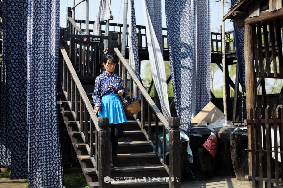 原味江南｜在春日繁花烂漫的沙家浜，等风也等你