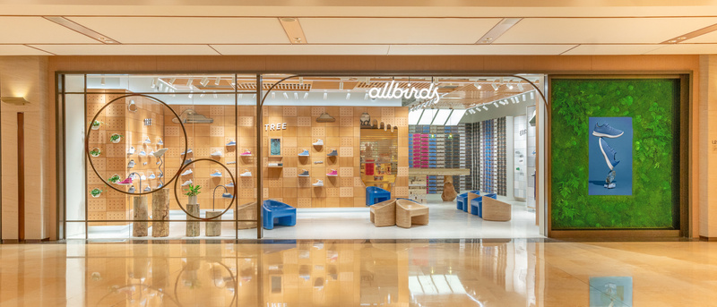 allbirds的鞋到底怎么样,最舒服的鞋子allbirds