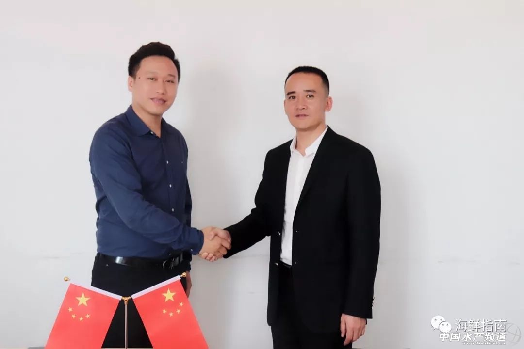 峰雷国际巴沙鱼销售电话,峰雷国际巴沙鱼广州仓库