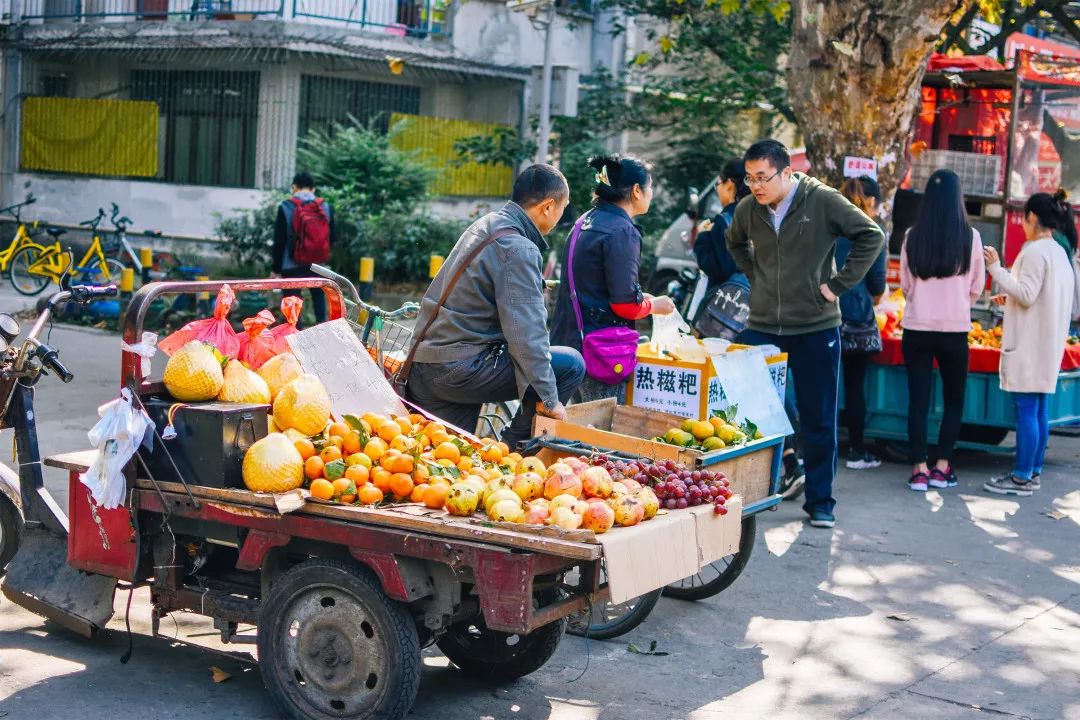 川大望江校区周边拍照打卡地,宝藏公园免费拍照地点