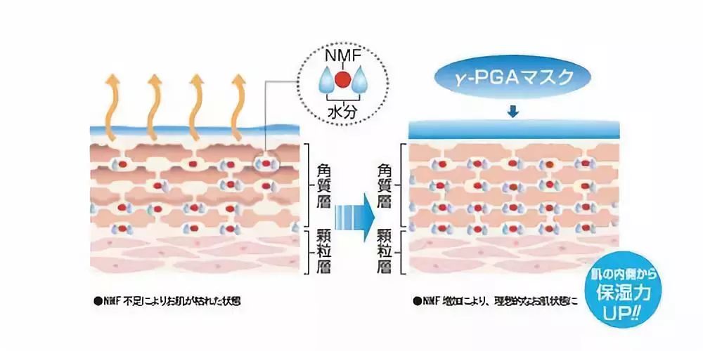 小茂肌诊室∣为什么拼命补水好多年,皮肤还是没变好?