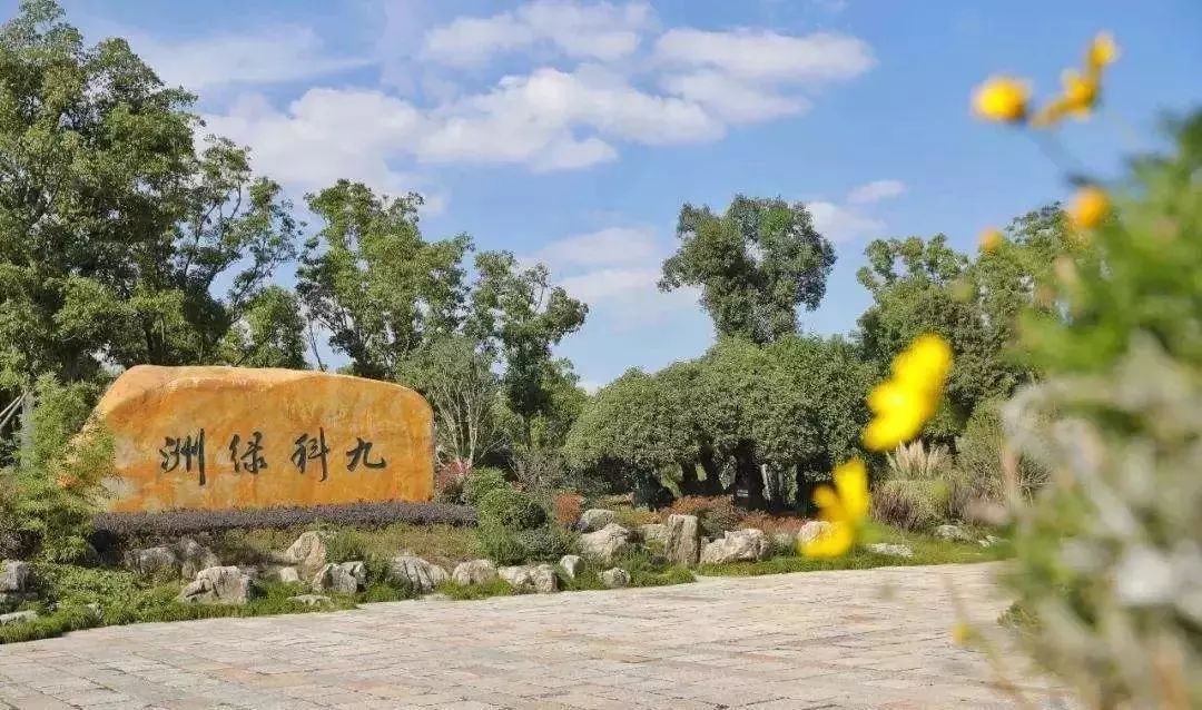 南九亭北九亭哪个好,南九亭二手房价格