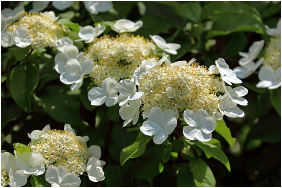 探索上海的特色景点,探索上海旅游景点和美食推荐