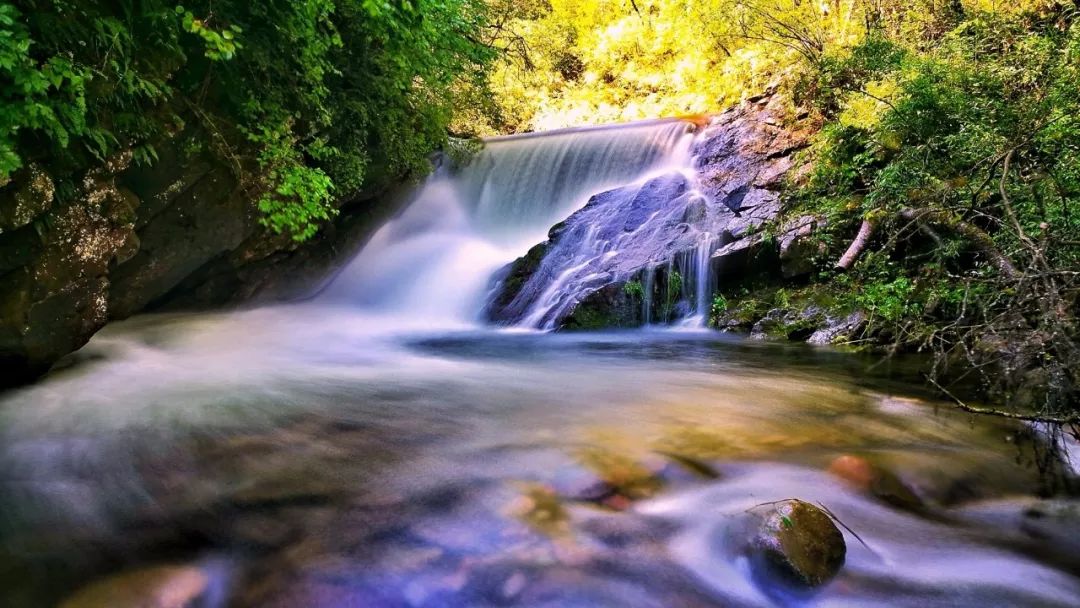 塞上江南的独特风韵,塞上江南大漠风情