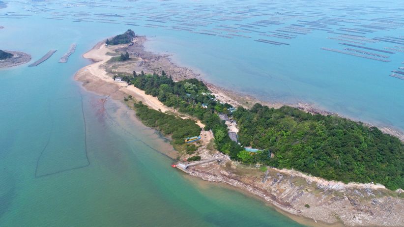 閽撻笨楸艰棰戦槻鍩庢腐,閽撻笨楸奸槻鍩庢腐