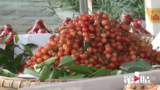 樱桃里面的虫子怎么能泡出来,樱桃里的虫子怎么样才能泡出来