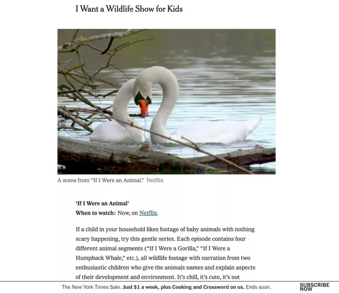 100个早教资源合集,儿童早教外教动画推荐