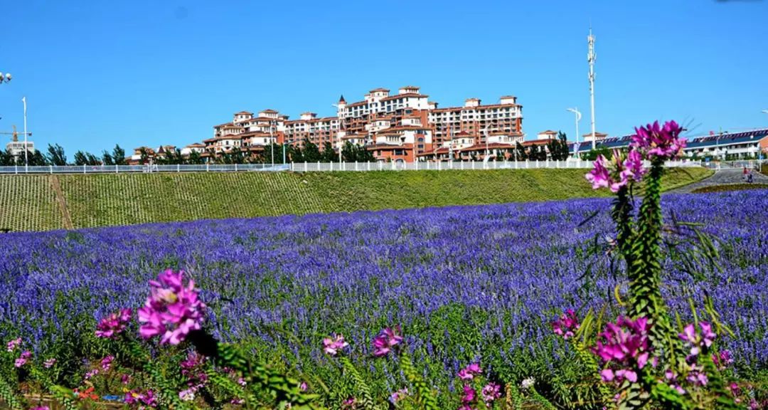 通辽文化旅游季来啦,通辽旅游活动