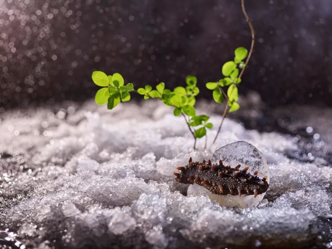 在重庆之巅，住云端奢居吃米其林大餐，刷新山城奢华新高度！