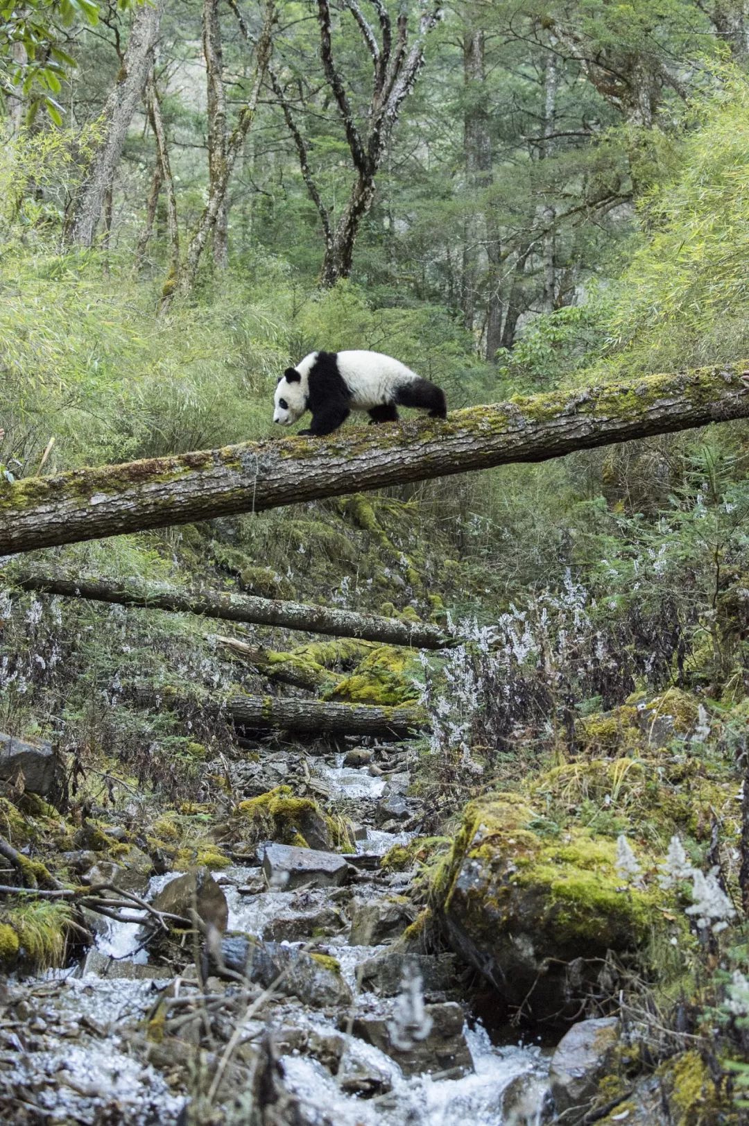 你才可爱你全家都可爱出处,你才可爱你全家都可爱怎么回