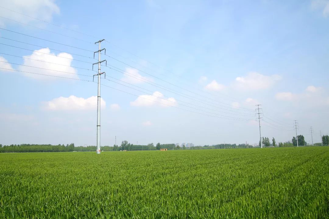 又见“高新蓝”！济宁高新区多措并举亮“组合拳”