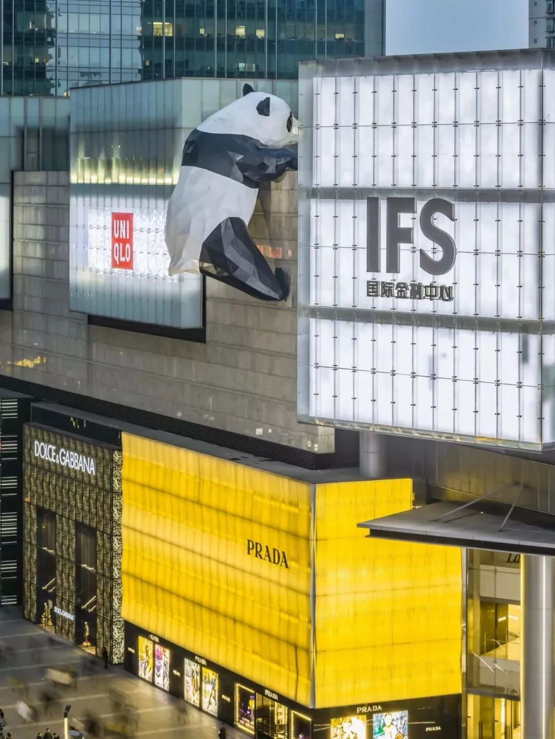 熊猫萌啦,熊猫萌