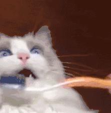 为什么怎么都刷不干净牙,刷了这么多年牙