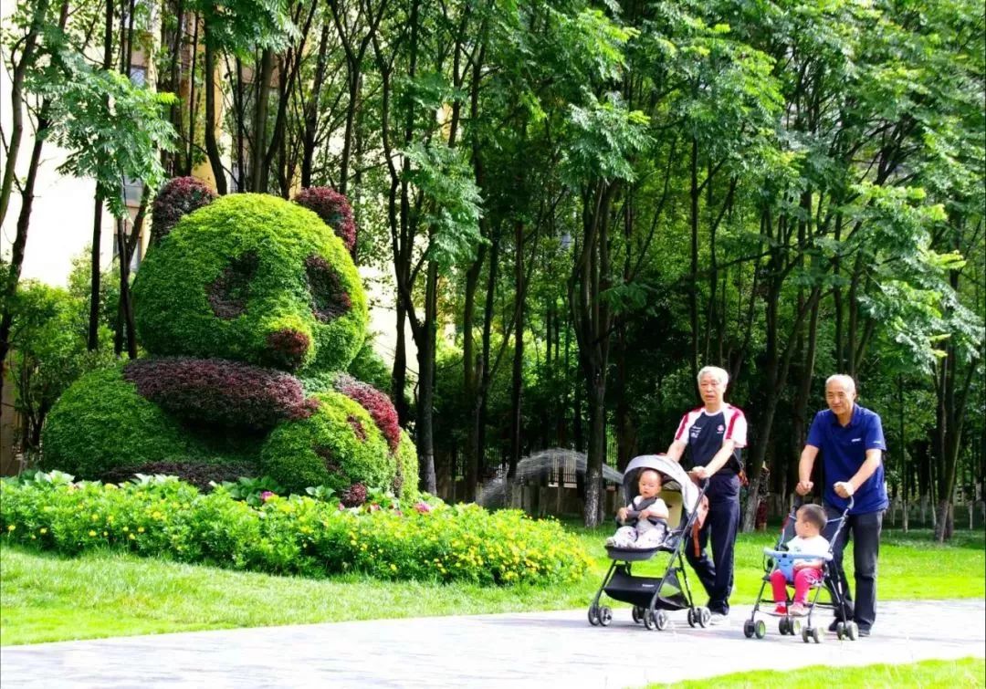 【荐读】熊猫:萌啥子哟,我是要雄起!