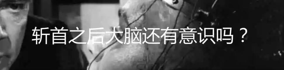 恐怖活体实验,恐怖残忍抽血实验