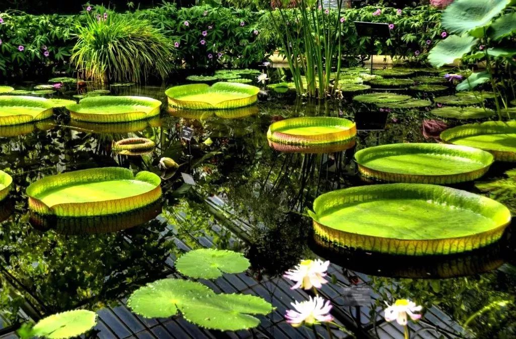 待天气晴好,伦敦阴雨天去哪旅游好