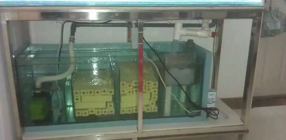 3000块的DIY罗缸，值么？