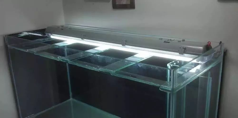 3000块的DIY罗缸，值么？